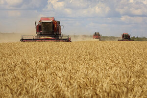 Ukraine-Russia Grain Deal Holds Promise Beyond Global Food Crisis ...